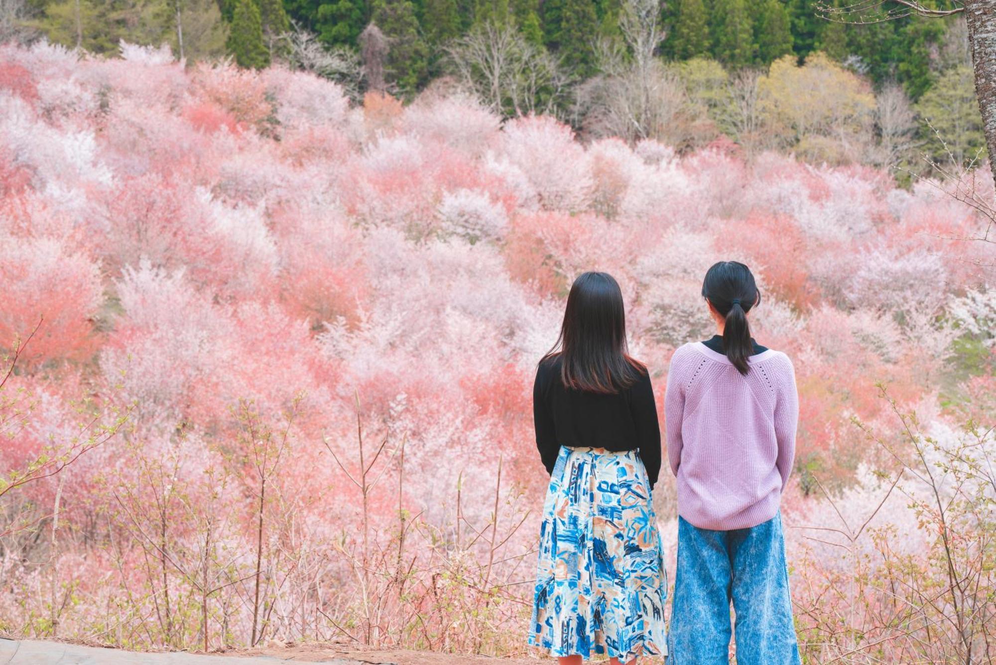 Urabandai Lake Resort Goshiki No Mori Kitashiobara Екстериор снимка