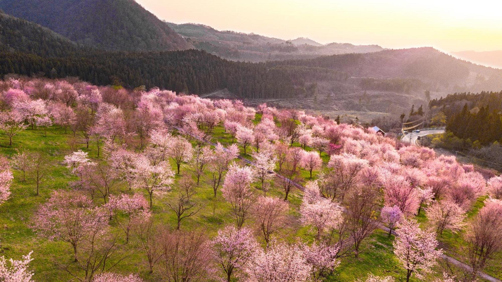 Urabandai Lake Resort Goshiki No Mori Kitashiobara Екстериор снимка