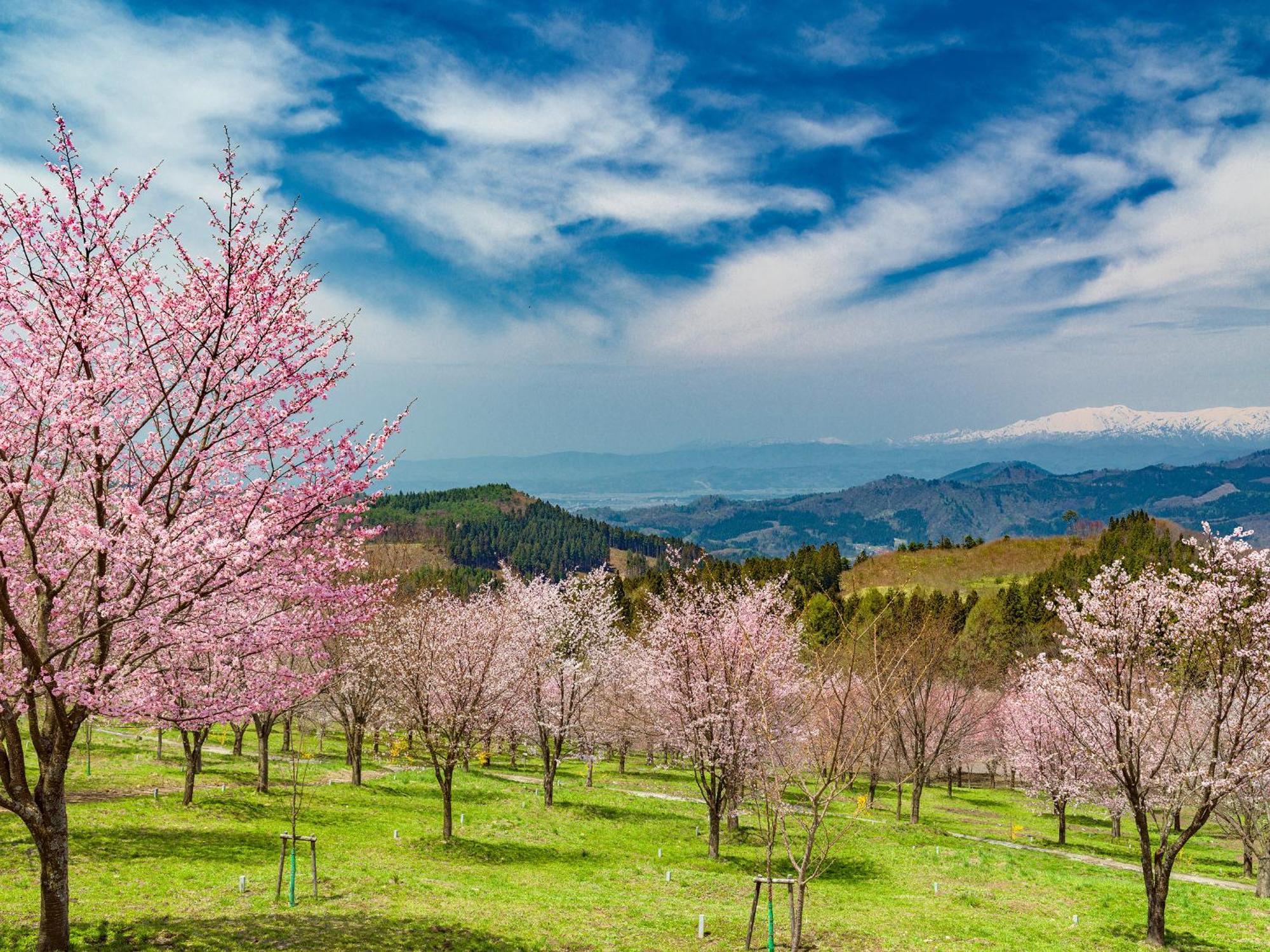 Urabandai Lake Resort Goshiki No Mori Kitashiobara Екстериор снимка