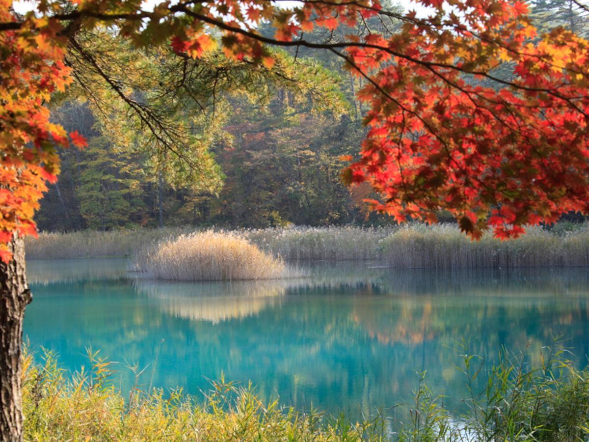 Urabandai Lake Resort Goshiki No Mori Kitashiobara Екстериор снимка